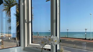 A window with a view of the beach and ocean, a white orchid, and a potted plant. - Worthing Beach 180 - 2 bed Seafront With Parking (Worthing)