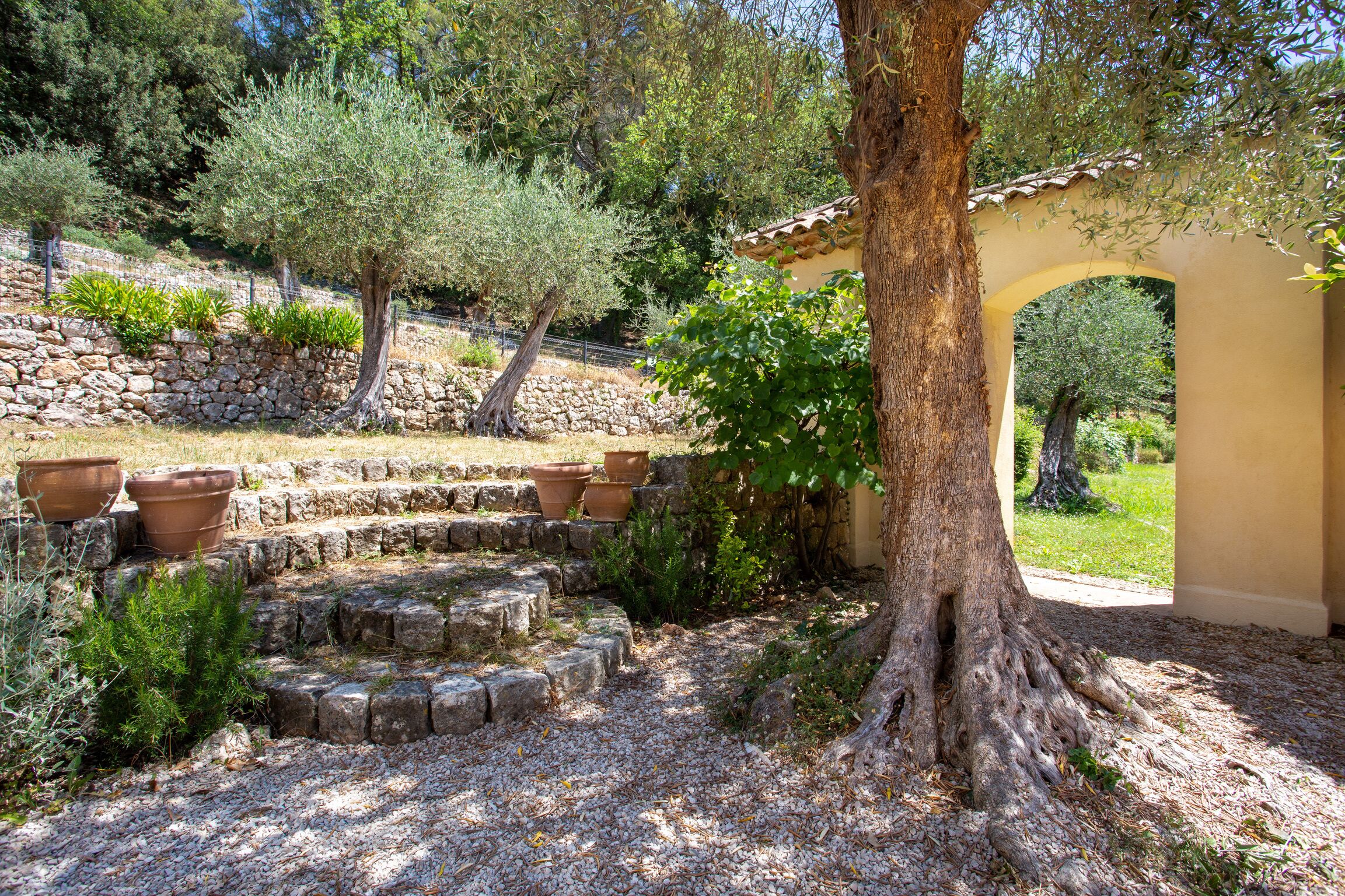 Overnatningsstedets område