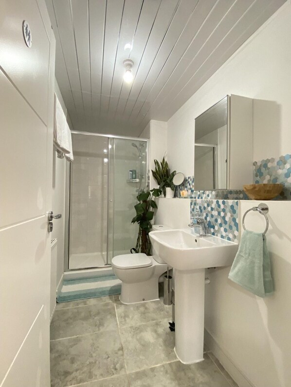 Combined shower/tub, deep soaking tub, hair dryer, towels