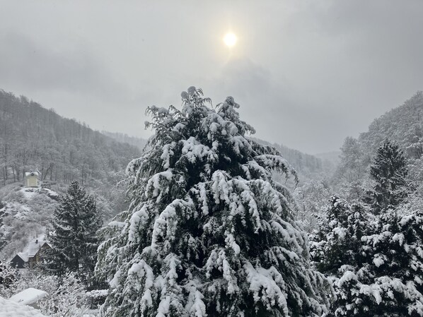 Paisaje nevado con una casa y árboles densos.