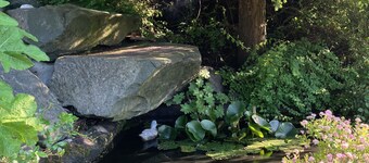 Ferienwohnung mit Fantastischem Ausblick, Direkt am Wald
