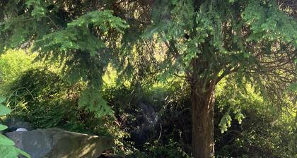 Ferienwohnung mit fantastischem Ausblick, direkt am Wald