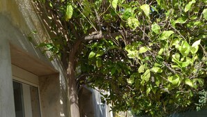A wooden table and bench set under a tree in a courtyard with a stone wall and a window. - Large air-conditioned T2, private parking near the center and beach (Banyuls-sur-Mer)