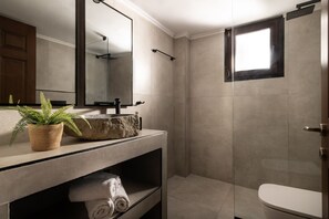 Un baño moderno con un espejo grande, un lavabo de piedra, una planta en maceta y un inodoro.