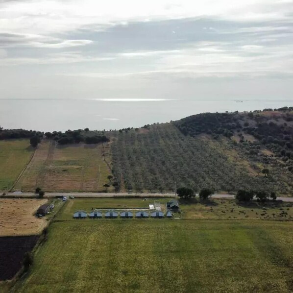 Exterior - Ekom Cafe Pansiyon (Ezine)