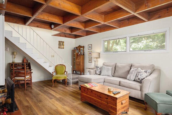 TV connectée, cheminée, lecteur de DVD, livres