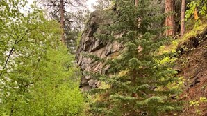 Ett bubbelbad i ett skogsområde med ett trädäck.