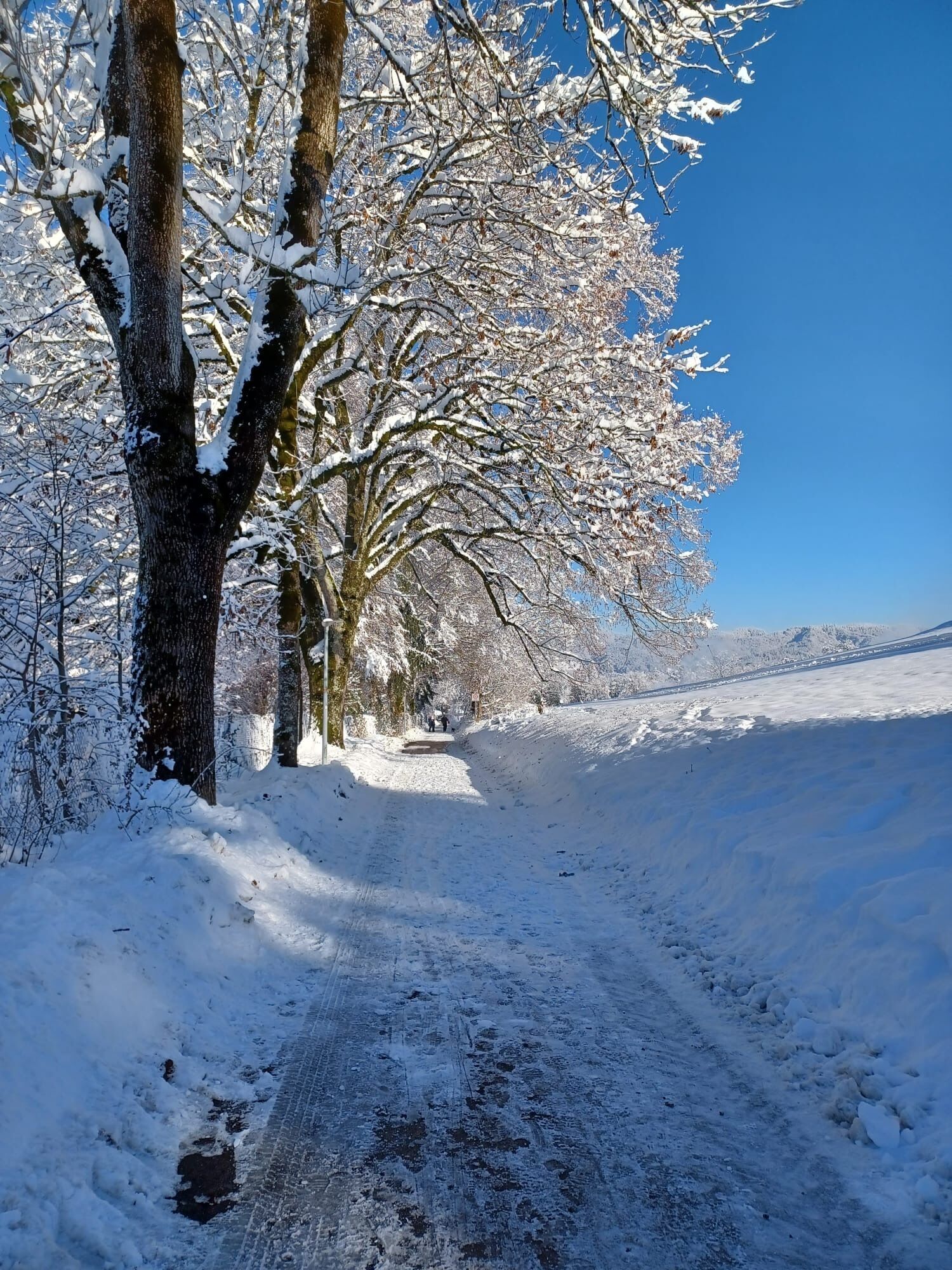 Snow and ski sports