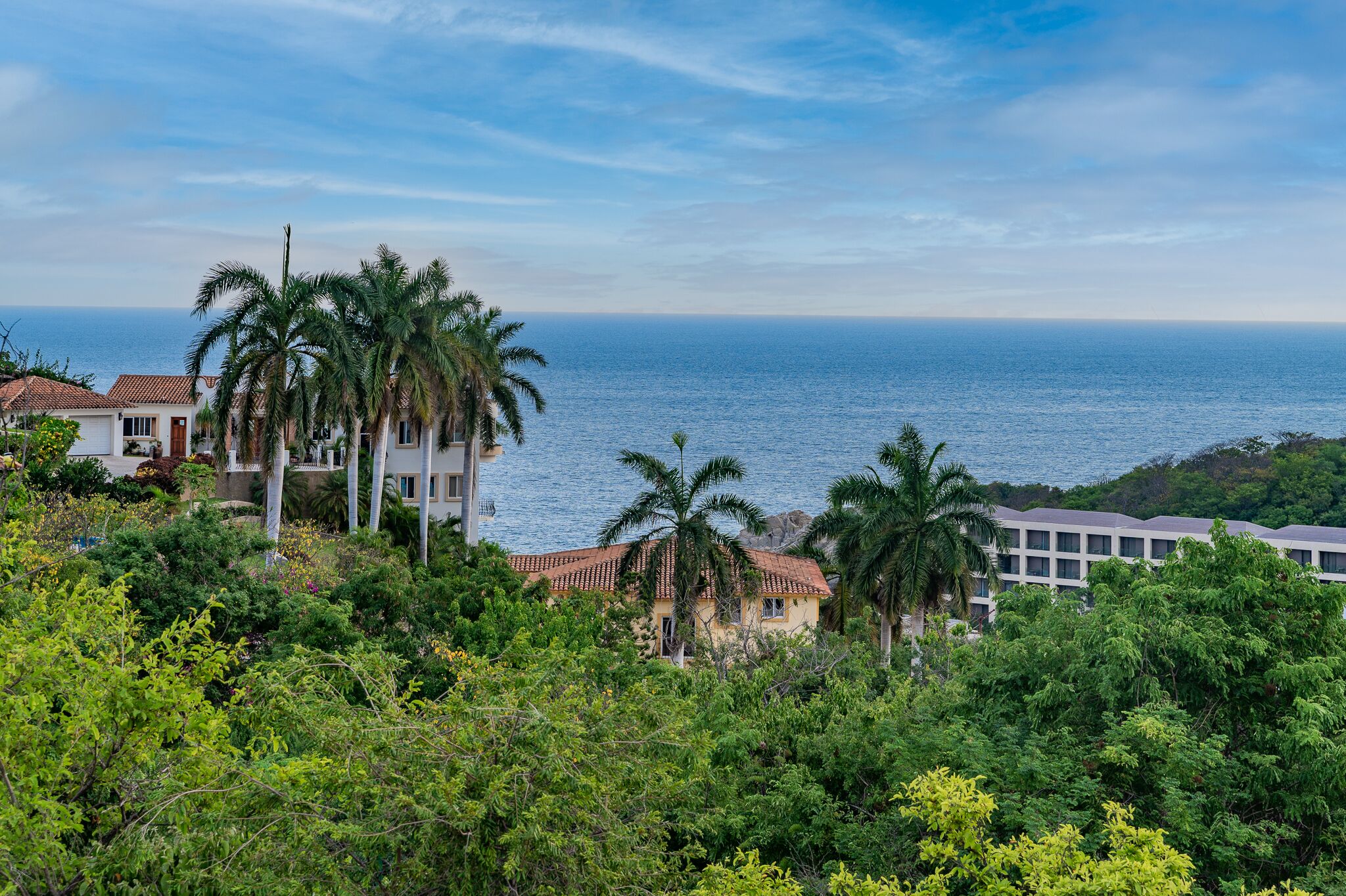 Una propiedad costera con vista al mar, rodeada de exuberante vegetación y palmeras.