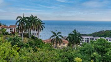 A coastal property with a view of the sea, surrounded by lush greenery and palm trees.