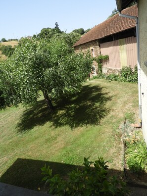 Property grounds - Quiet vacation home near Figeac (Linac)