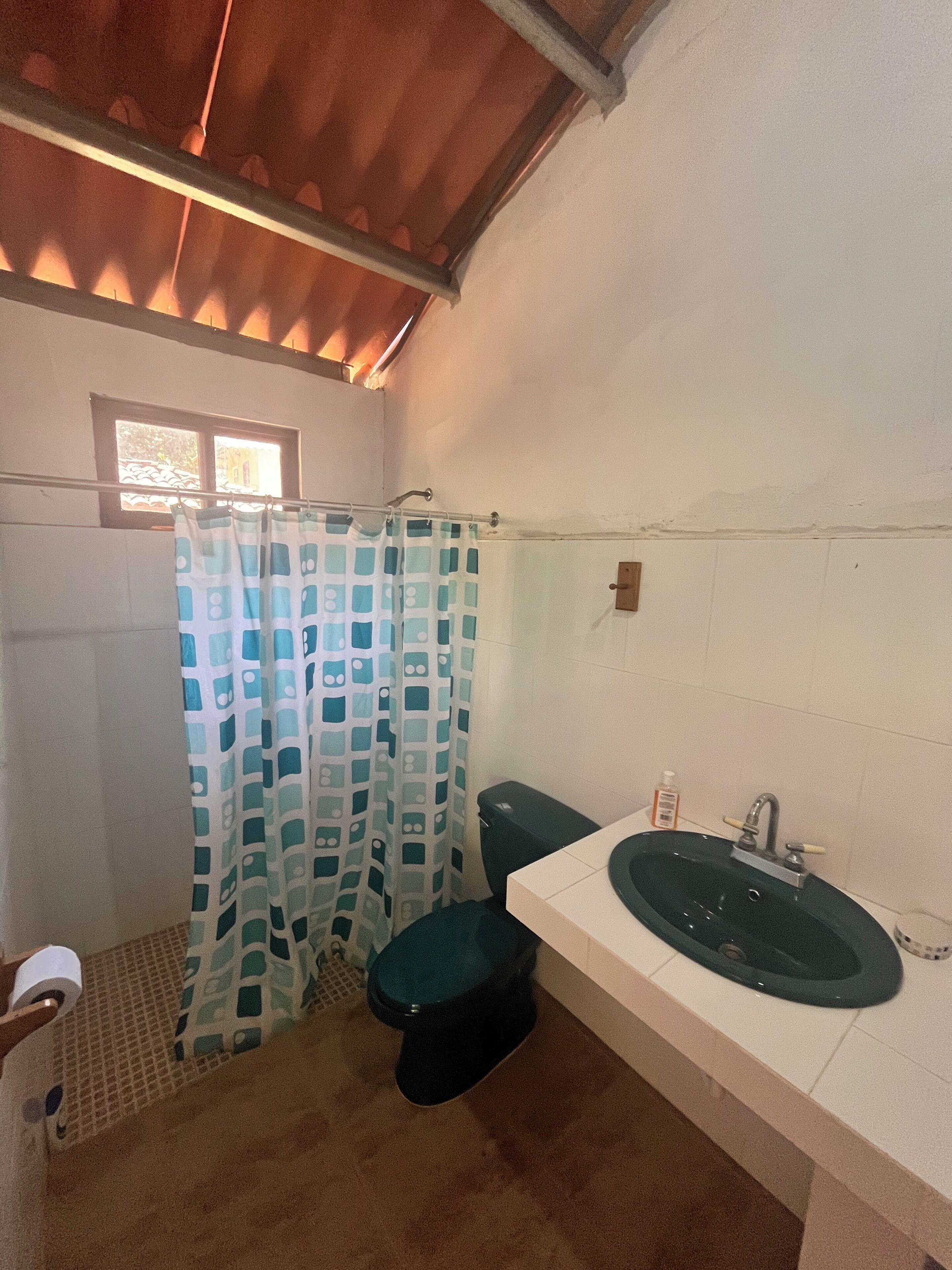 Ducha, toallas, jabón, papel higiénico