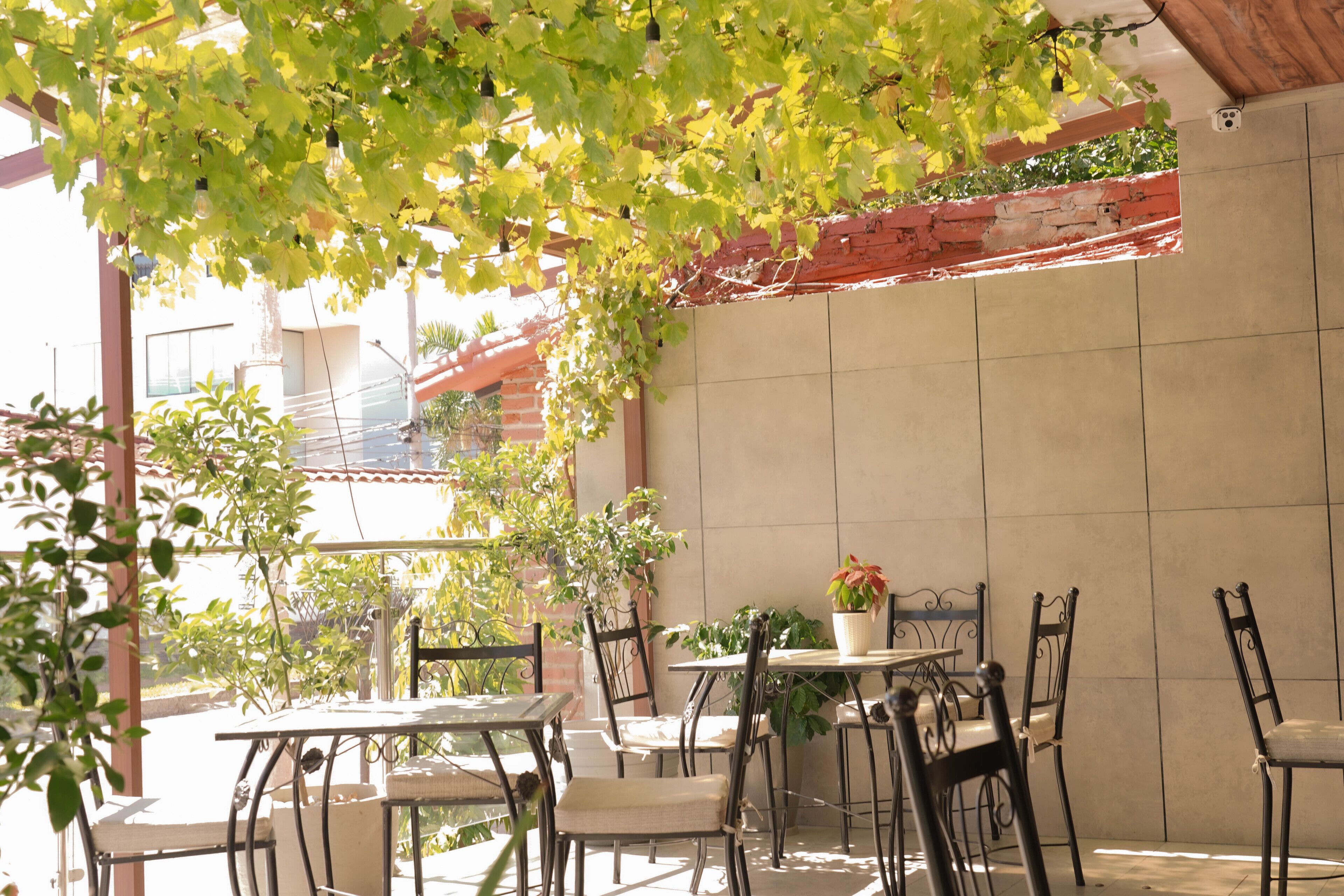 An outdoor patio area with tables and chairs, surrounded by plants and a brick wall.