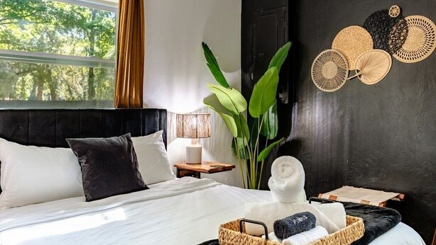 Ein modernes Schlafzimmer mit einem großen Bett, einem Nachttisch, einer Lampe, einem Blumentopf und einem dekorativen Wandelement.