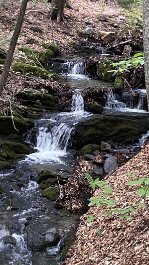 Un cours d’eau naturel qui serpente entre les rochers dans une zone boisée.