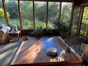 Una habitación con piso de madera, una colchoneta de yoga azul, un terrario de vidrio y varias plantas en macetas.