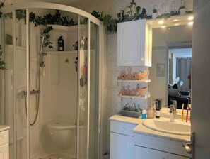 Ducha, secador de pelo