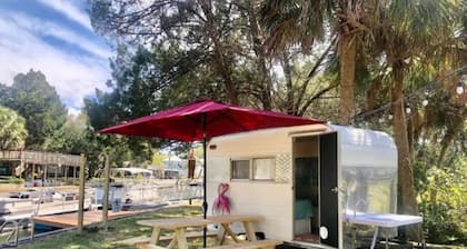 The Funky Flamingo - Neptune's Grotto Old Florida Adventure Retreats