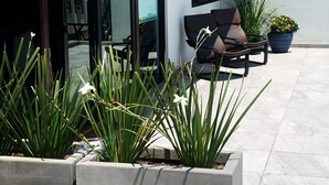 Un área de estar moderna al aire libre con puerta de vidrio, planta en maceta y un banco con cojín.