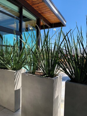 Il s’agit d’un bâtiment moderne doté de grandes fenêtres et d’un plafond en bois. Devant le bâtiment, on trouve des jardinières en béton où sont plantées de grandes plantes vertes.