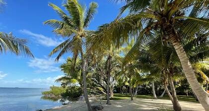 Two Authentic Conch Houses with Private Beach on FL BAY