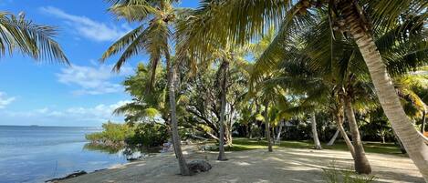On the beach, sun loungers, beach towels