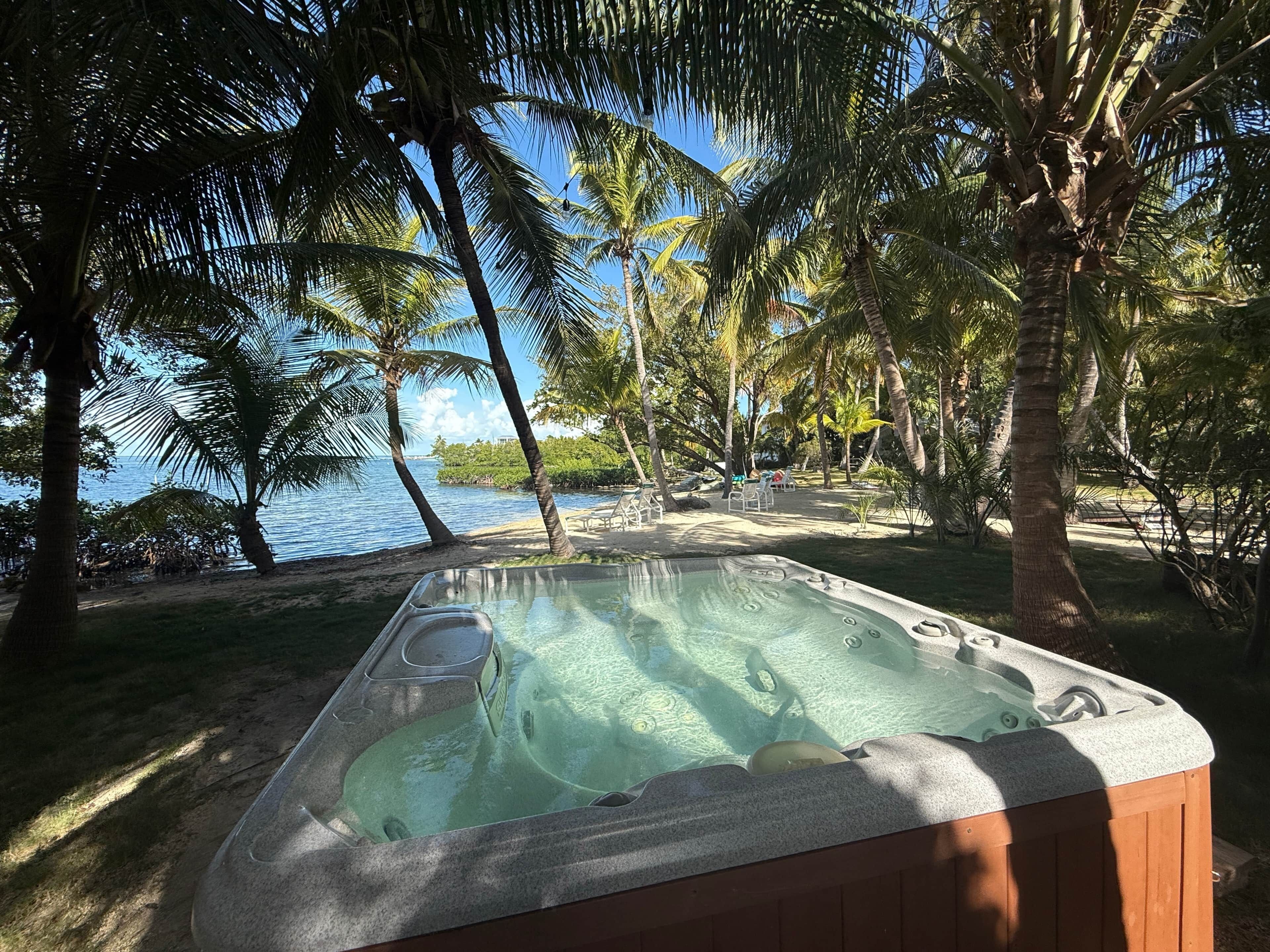 A hot tub surrounded by palm trees and a view of the ocean.