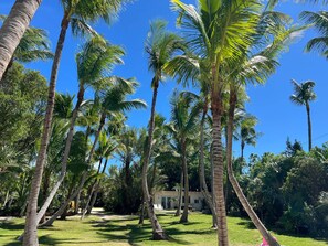 Property grounds - Two Authentic Conch Houses with Private Beach on FL BAY (Tavernier)