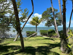 A tropical landscape with palm trees, a grassy area, and a view of the ocean.