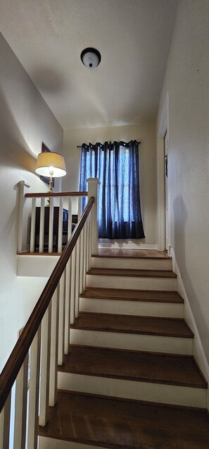 Interior - South Highland's Modern Old School 98 year old home updated with all charm left! (Shreveport)