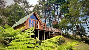 A wooden cabin with a balcony, surrounded by lush ferns and trees. - Quimera Ecolodge Cabana - 7 min JMC Airport (Antioquia)