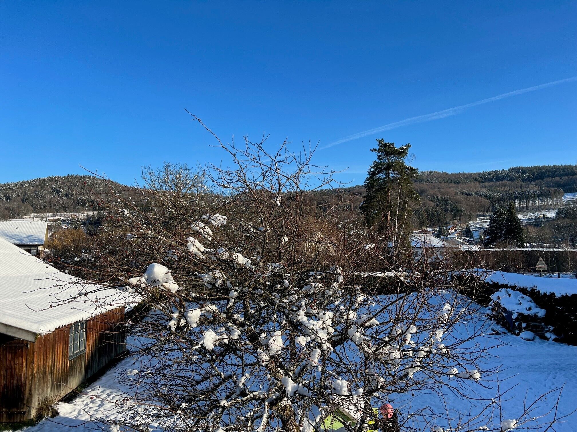Paisagem rural com árvores cobertas de neve e um edifício de madeira com telhado inclinado.