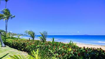 On the beach, sun-loungers, beach towels