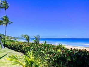 On the beach, sun loungers, beach towels - Shell Beach House - Garden Unit, Steps to Beach! (Palmas del Mar)