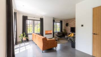 Smart TV, fireplace, books