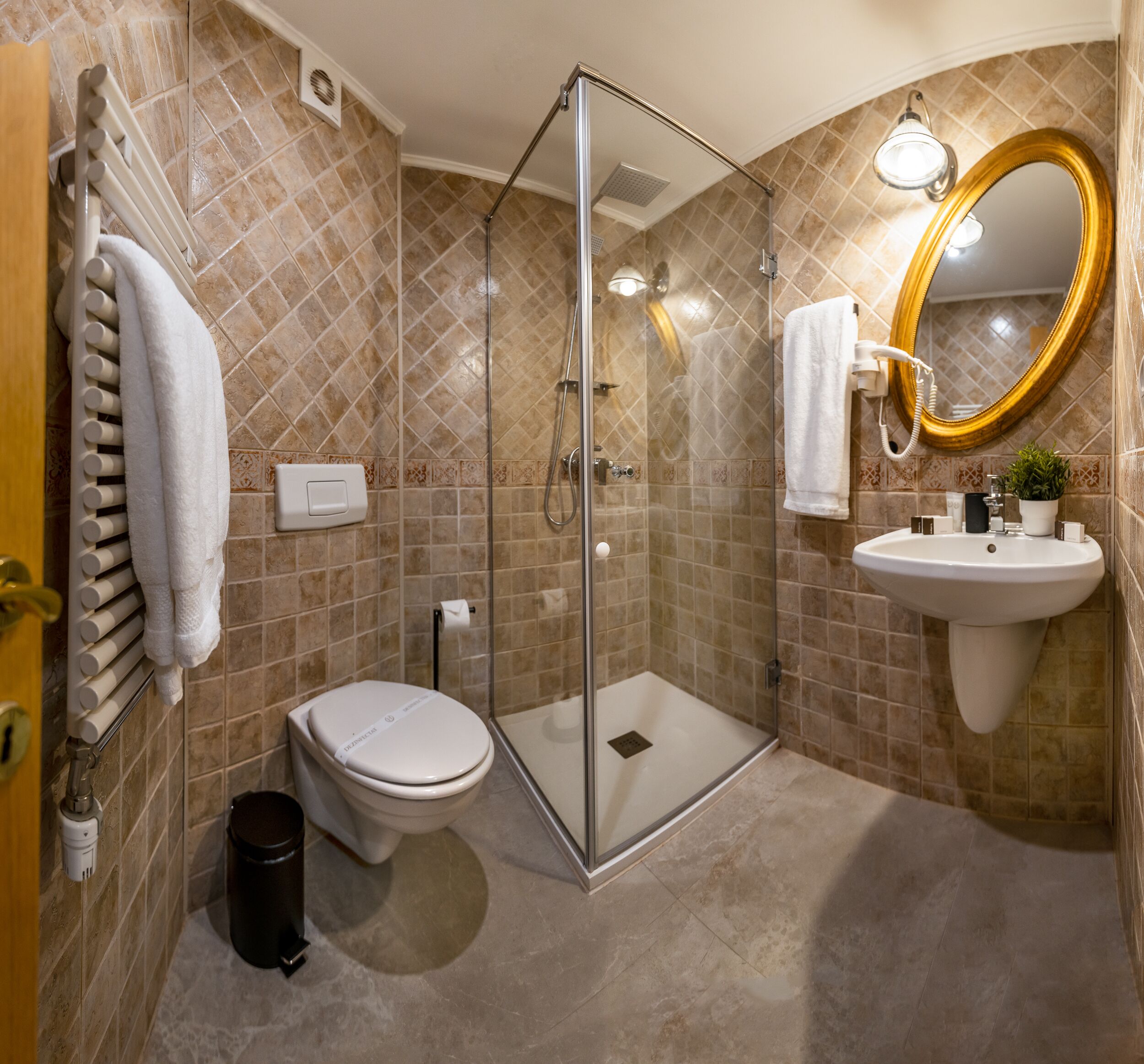 A bathroom with a glass-enclosed shower, a toilet, a sink with a mirror, and a towel rack.