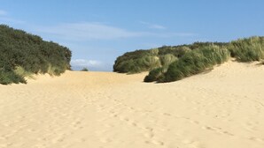 Une plage de sable avec des dunes et une végétation clairsemée.