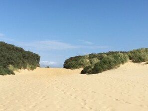 Beach - Owlers Retreat, 3 Bed Luxury Beach House, 1 Minute to Beach, Enclosed Garden (Camber)