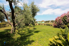 Property grounds - Casa Allegra in the Maremma Park (Rispescia)