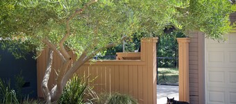 Renovated Farmhouse on 3/4 acre