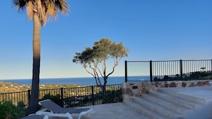 Una terraza con sillones de descanso, una palmera y vista al mar.
