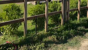 Une maison moderne avec un toit en pente, une cheminée visible et un jardin clos.