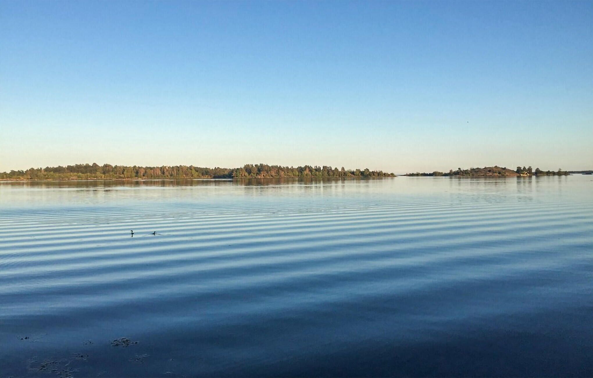 Um lago calmo com uma margem distante de árvores e céu claro.