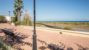 Ein gepflasterter Weg mit einer Bank, Palmen und Blick auf das Meer.