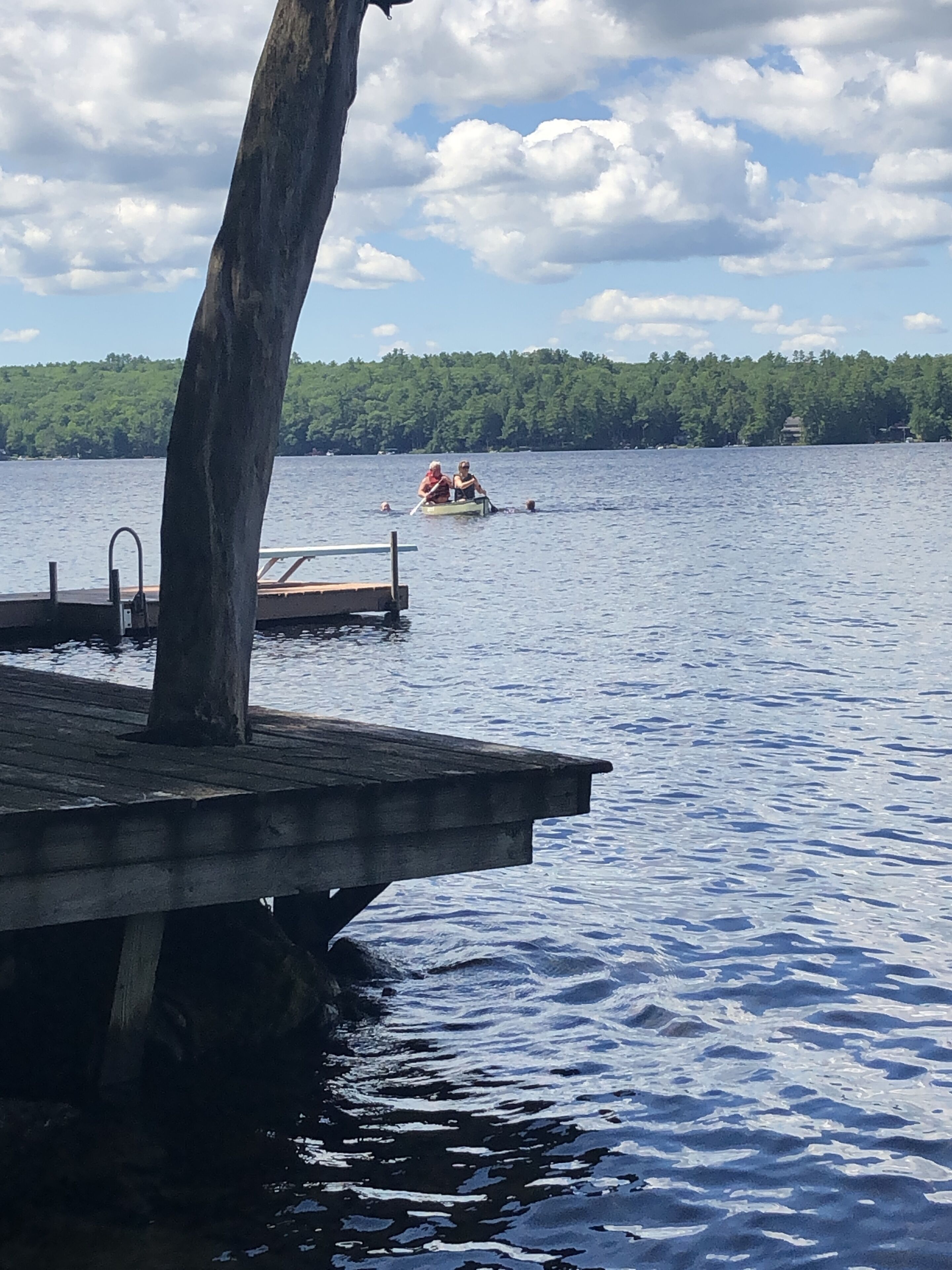 Une jetée en bois s’étendant sur un lac paisible, avec une barque à rames au loin et une rive bordée d’arbres.