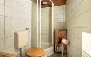 Combined shower/bathtub, hair dryer