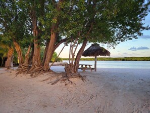 Plage à proximité