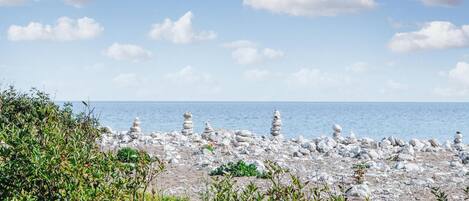 靠近海滩、钓鱼