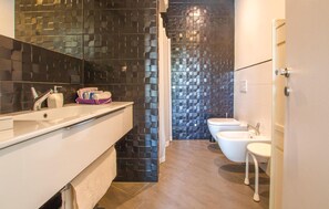 Shower, hair dryer