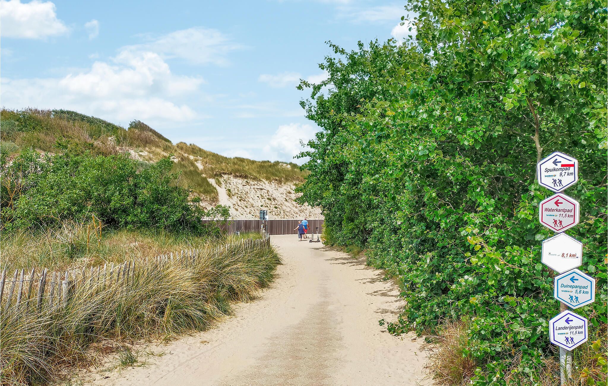A dirt path leading to a beach area with signs indicating distances to various destinations.